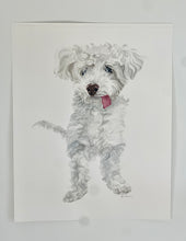 Load image into Gallery viewer, Large Pet Portraits